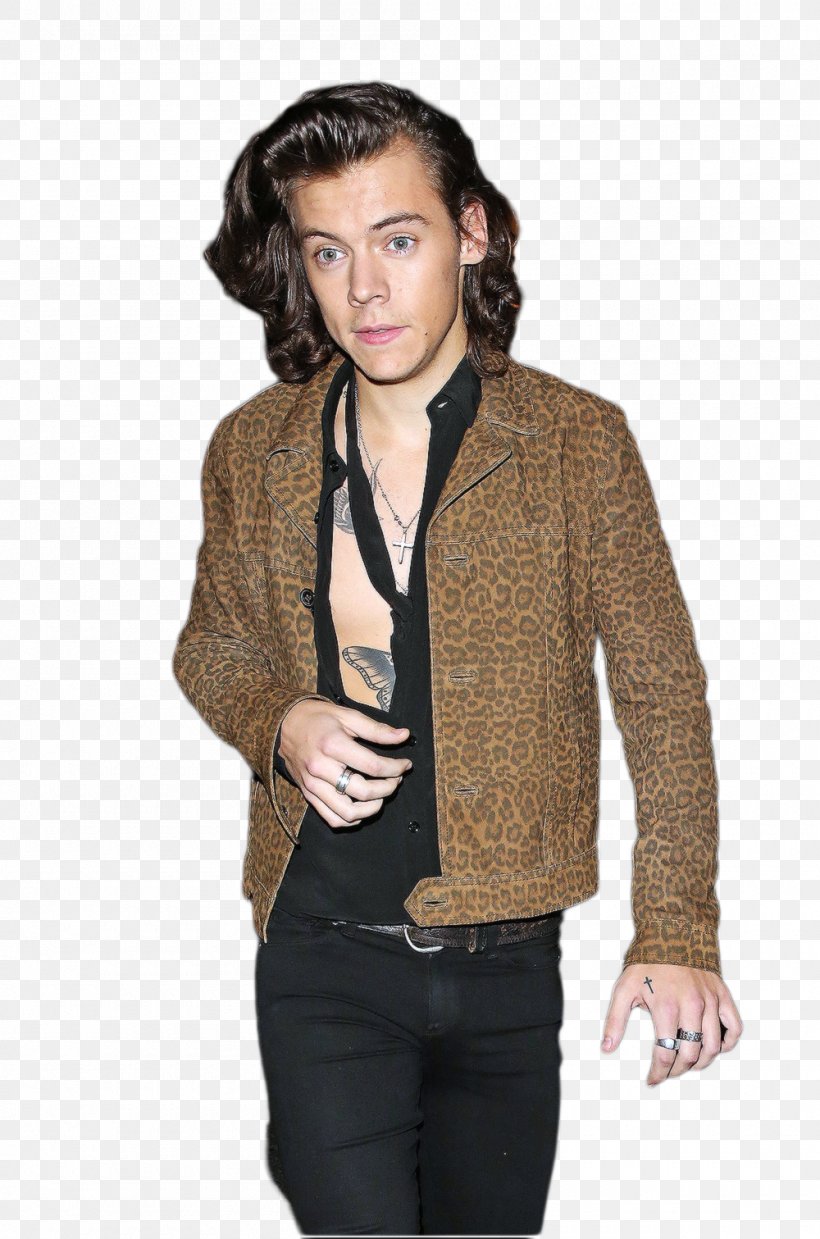 Harry Styles Harry Potter The X Factor One Direction, PNG, 1000x1511px, Harry Styles, Actor, Blazer, Cardigan, Clothing Download Free