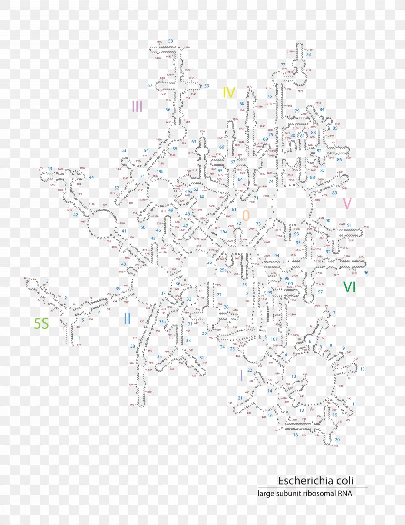 Map Tree Pattern, PNG, 5000x6471px, Map, Area, Diagram, Tree, Tuberculosis Download Free