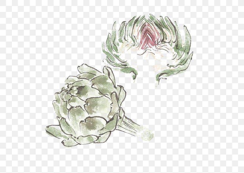 Rosaceae Green Petal Pattern, PNG, 600x582px, Rosaceae, Family, Floral Design, Flower, Flower Arranging Download Free