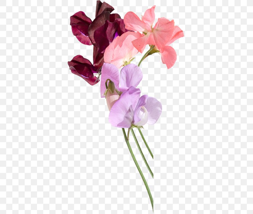 Sweet Pea Festival Flower Snapdragons, PNG, 381x693px, Sweet Pea, Annual Plant, Artificial Flower, Cut Flowers, Everlasting Sweet Pea Download Free