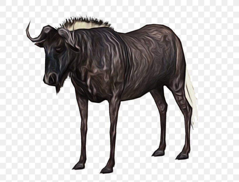 Wildebeest Animal Figure Bovine Wildlife Cow-goat Family, PNG, 676x626px, Watercolor, Animal Figure, Bovine, Bull, Cowgoat Family Download Free