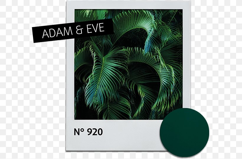 Leaf Alessandro Striplac Nail Polish Green Fototapeta, PNG, 603x541px, Leaf, Alessandro Striplac, Color, Cosmetics, Fototapeta Download Free