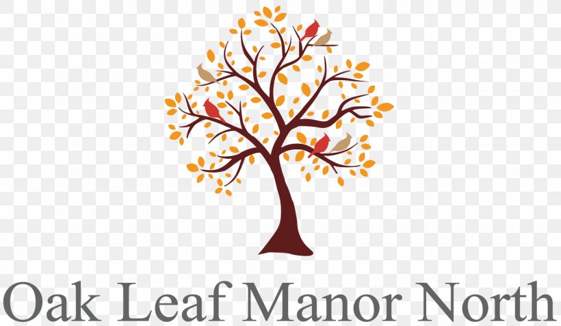 Oak Leaf Manor South Oak Leaf Manor North Landisville, Pennsylvania ManorCare Health Services-York South Nursing Home, PNG, 1336x777px, Oak Leaf Manor South, Assisted Living, Autumn House East, Autumn House West, Branch Download Free