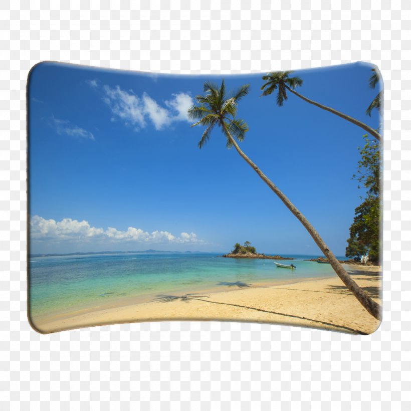 Anjuna Calangute Arambol Baga Bora Bora, PNG, 1000x1000px, Anjuna, Arambol, Backpacker Hostel, Baga, Beach Download Free