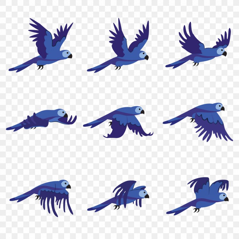 Bird Beak Parrot Animation Royalty-free, PNG, 1080x1080px, Bird, Animation, Beak, Character Animation, Dreamstime Download Free
