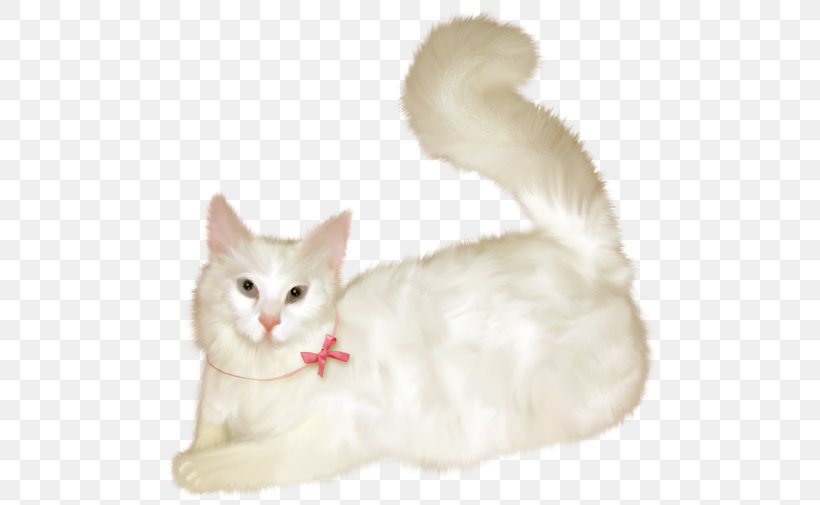 Burmilla Balinese Cat Turkish Van Aegean Cat Turkish Angora, PNG, 500x505px, Burmilla, Aegean Cat, American Wirehair, Balinese, Balinese Cat Download Free