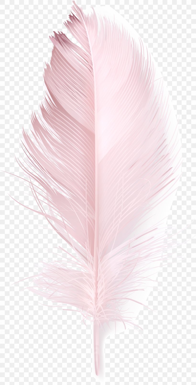 Feather Download Pink Duck, PNG, 2067x4067px, Feather, Petal, Pink, Wing Download Free