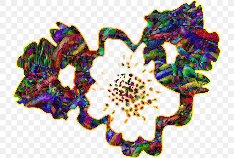 Flower Symmetry Petal Pattern, PNG, 728x554px, Flower, Petal, Symmetry Download Free