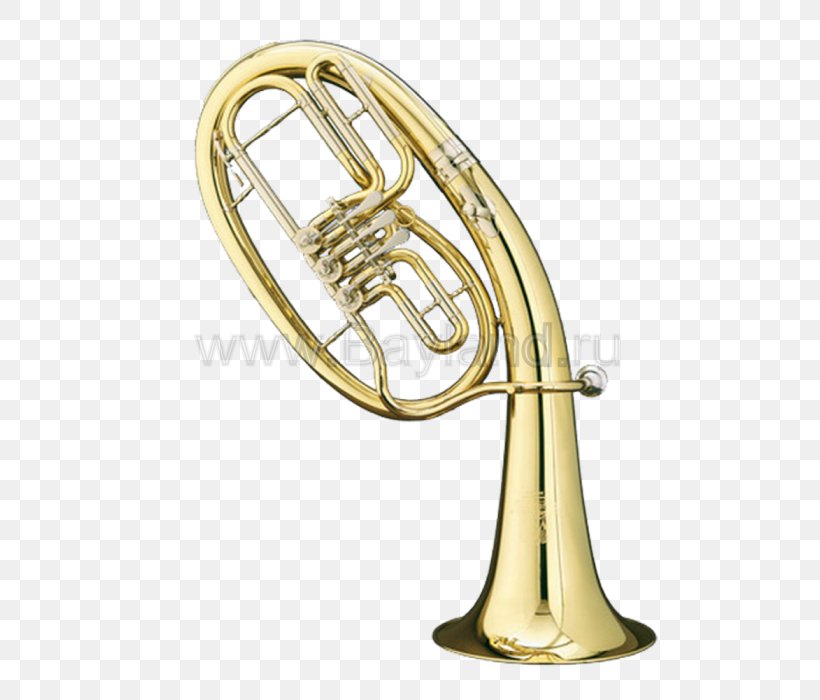 Saxhorn Tenorhorn Euphonium French Horns Brass Instruments, PNG, 586x700px, Watercolor, Cartoon, Flower, Frame, Heart Download Free