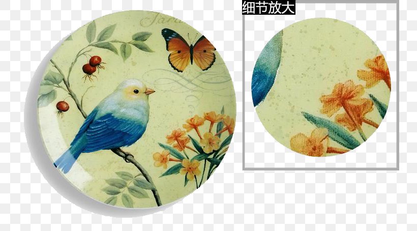 Bird Paper Plate Picture Frame Decoupage, PNG, 750x454px, Bird, Art, Beak, Canvas, Canvas Print Download Free