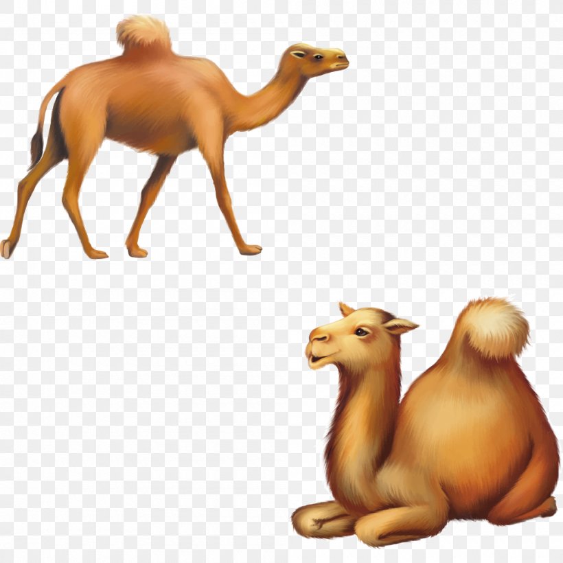 Cartoon Silhouette Illustration, PNG, 1000x1000px, Cartoon, Animal, Arabian Camel, Art, Bactrian Camel Download Free