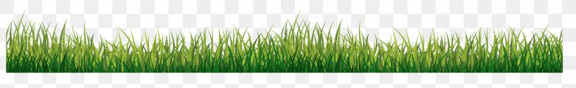 Grasses Green, PNG, 2917x450px, Grasses, Family, Grass, Grass Family, Green Download Free