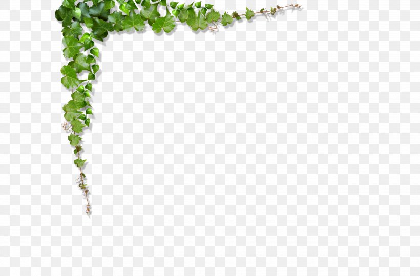 Green Vine Leaf, PNG, 3500x2300px, Green, Classroom, Drawing, Grass, Instructional Design Download Free