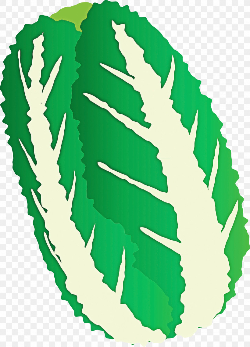 Nappa Cabbage, PNG, 2161x3000px, Nappa Cabbage, Green, Leaf, Logo Download Free