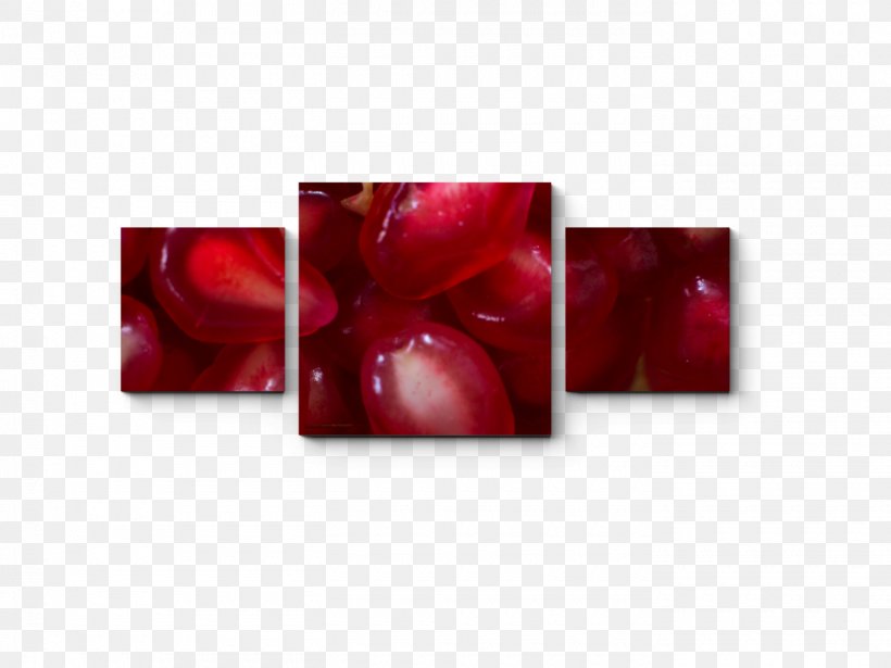 Rectangle Fruit, PNG, 1400x1050px, Rectangle, Fruit, Petal, Red Download Free