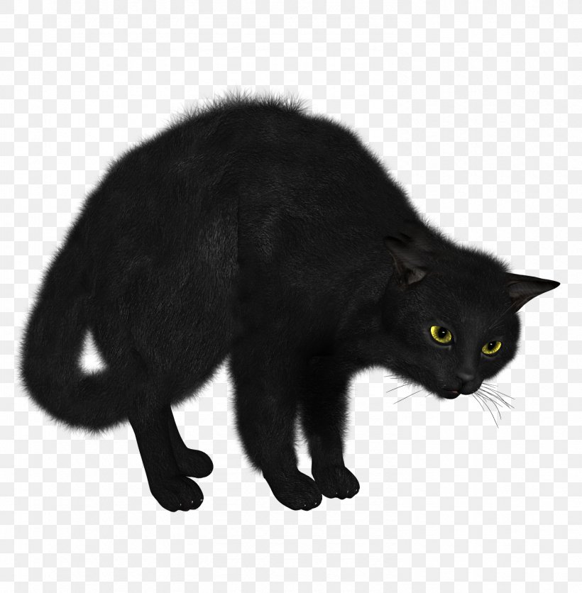 Siamese Cat Kitten Black Cat Cat Food, PNG, 1490x1520px, Cat, Asian Semi Longhair, Black, Black Cat, Bombay Download Free