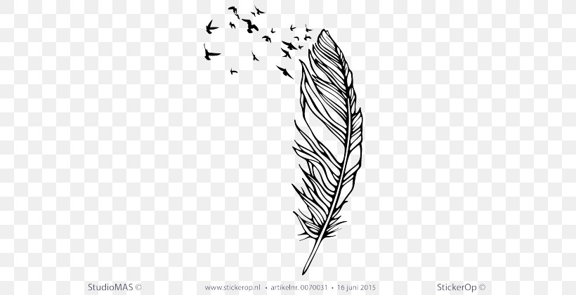 Line Art Quill Feather Grasses Font, PNG, 619x420px, Line Art, Bird, Black And White, Branch, Commodity Download Free