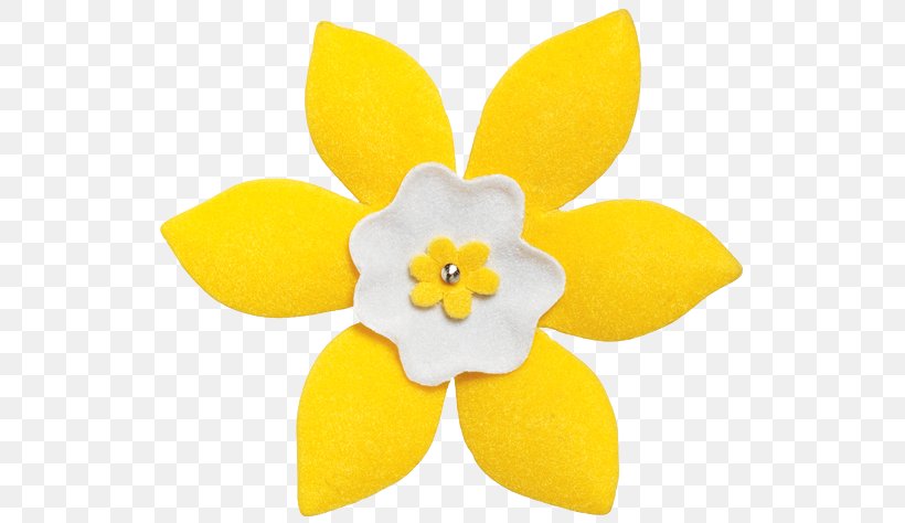 Daffodil Canadian Cancer Society Bulb Relay For Life, PNG, 537x474px, Daffodil, American Cancer Society, Breast Cancer, Bulb, Canadian Cancer Society Download Free