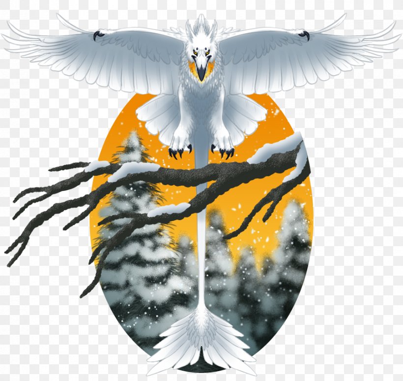 Eagle Beak Desktop Wallpaper, PNG, 900x850px, Eagle, Beak, Bird, Bird Of Prey, Computer Download Free
