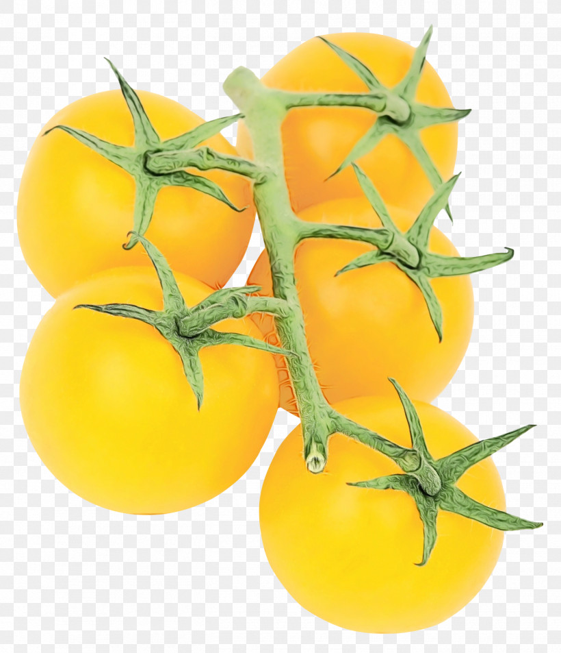 Tomato, PNG, 1350x1570px, Watercolor, Apple, Bush Tomato, Cherry Tomatoes, Fruit Download Free