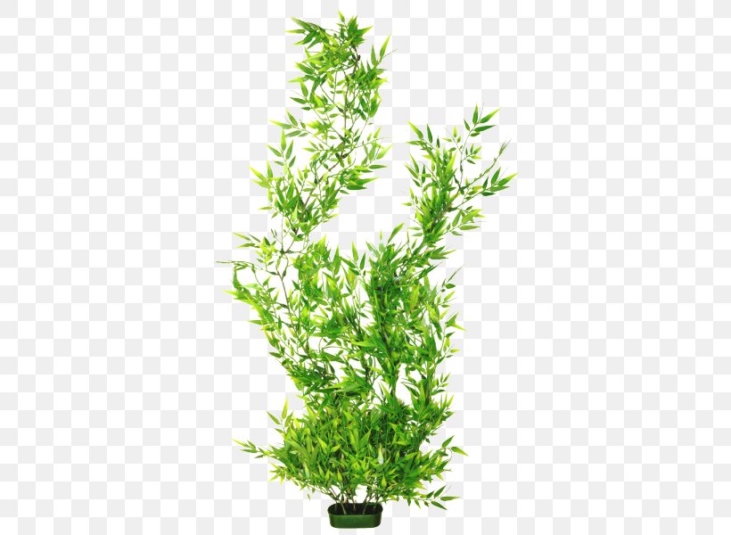 Aquarium Plant Shrub Fish Plastic, PNG, 600x600px, Aquarium, Aquarium Decor, Bamboo, Fish, Flowerpot Download Free