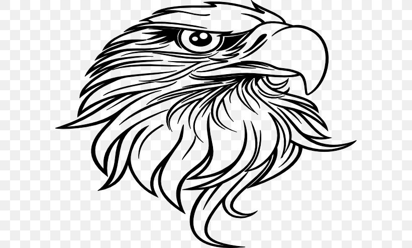 Bald Eagle Black-and-white Hawk-eagle Drawing Clip Art, PNG, 600x495px, Bald Eagle, Art, Artwork, Beak, Bird Download Free