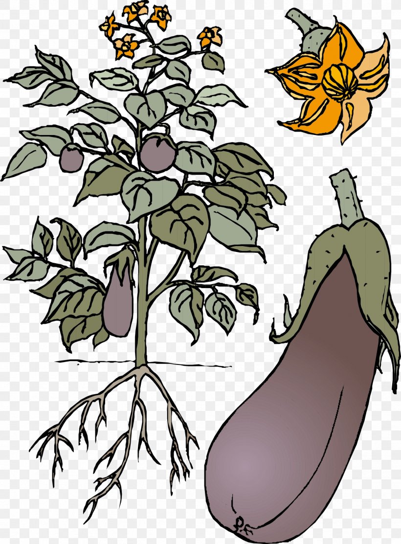 Eggplant Vegetable, PNG, 1419x1926px, Eggplant, Art, Artwork, Branch, Cartoon Download Free