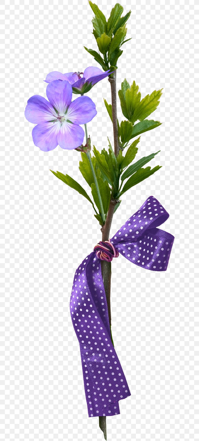 Flower Clip Art, PNG, 620x1810px, Flower, Bellflower Family, Flora, Flowering Plant, Google Images Download Free