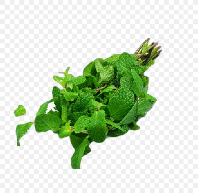 Peppermint Mentha Spicata Wild Mint Plant Herb, PNG, 800x800px, Peppermint, Chili Pepper, Coriander, Herb, Leaf Download Free
