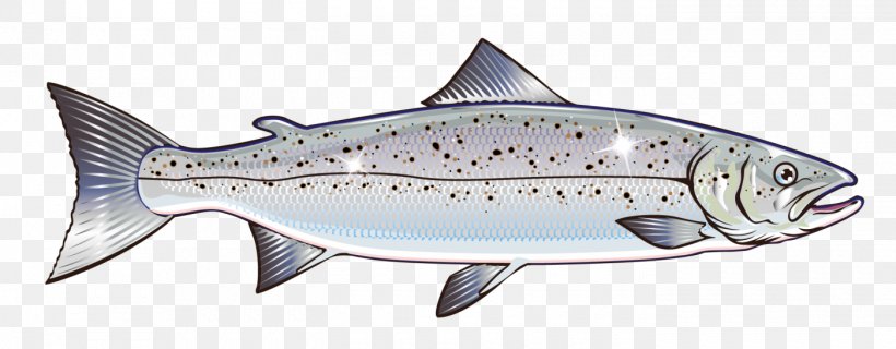 Salmon Vector Graphics Clip Art Stock Illustration Royalty-free, PNG, 1400x547px, Salmon, Animal Figure, Atlantic Salmon, Bony Fish, Chinook Salmon Download Free