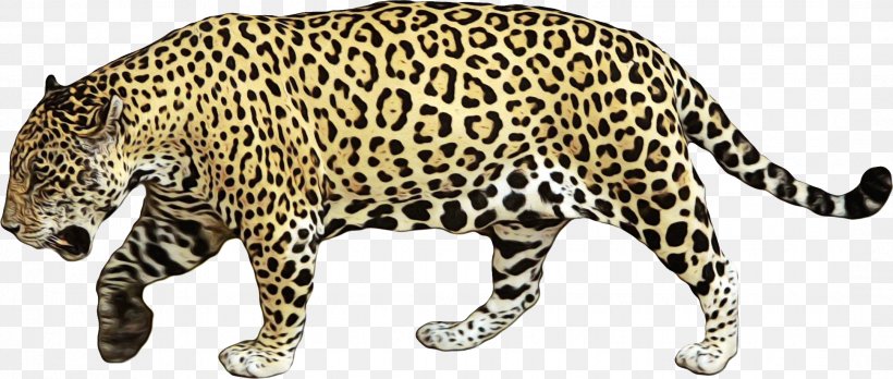 Terrestrial Animal Jaguar Animal Figure African Leopard Leopard, PNG, 2161x919px, Watercolor, African Leopard, Animal Figure, Big Cats, Jaguar Download Free