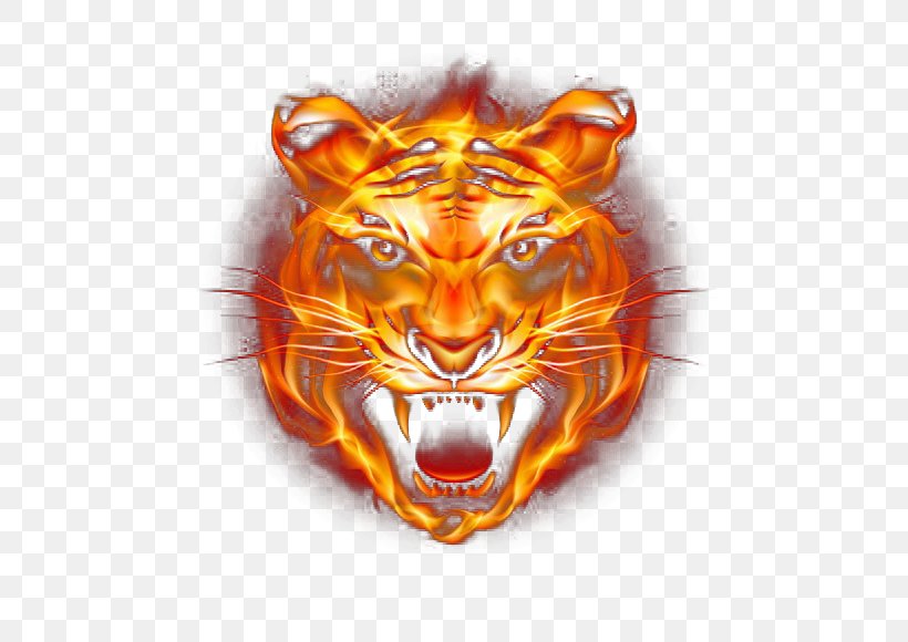 Tiger Fire, PNG, 550x580px, Tiger, Big Cats, Carnivoran, Cat Like Mammal, Combustion Download Free