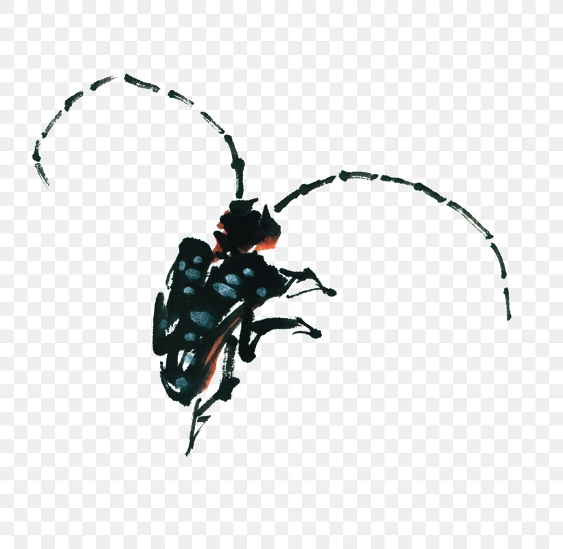 Beetle Antenna Ink, PNG, 800x800px, Beetle, Antenna, Arthropod, Cricket, Gratis Download Free