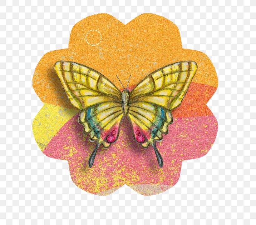 Butterfly Paper Clip Art Butterflies And Moths, PNG, 689x720px, Butterfly, Arthropod, Book, Brush Footed Butterfly, Butterflies And Moths Download Free