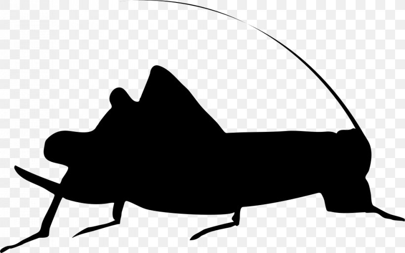 Insect Cricket Dave Michaels Band Silhouette, PNG, 980x612px, Insect, Art, Blackandwhite, Coloring Book, Cricket Download Free