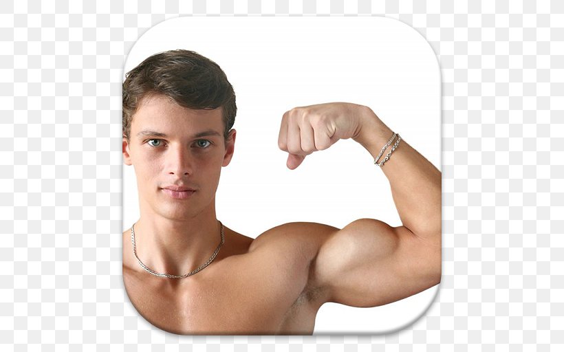 Muscle Biceps Augšdelms Human Body Sarcoplasm, PNG, 512x512px, Watercolor, Cartoon, Flower, Frame, Heart Download Free
