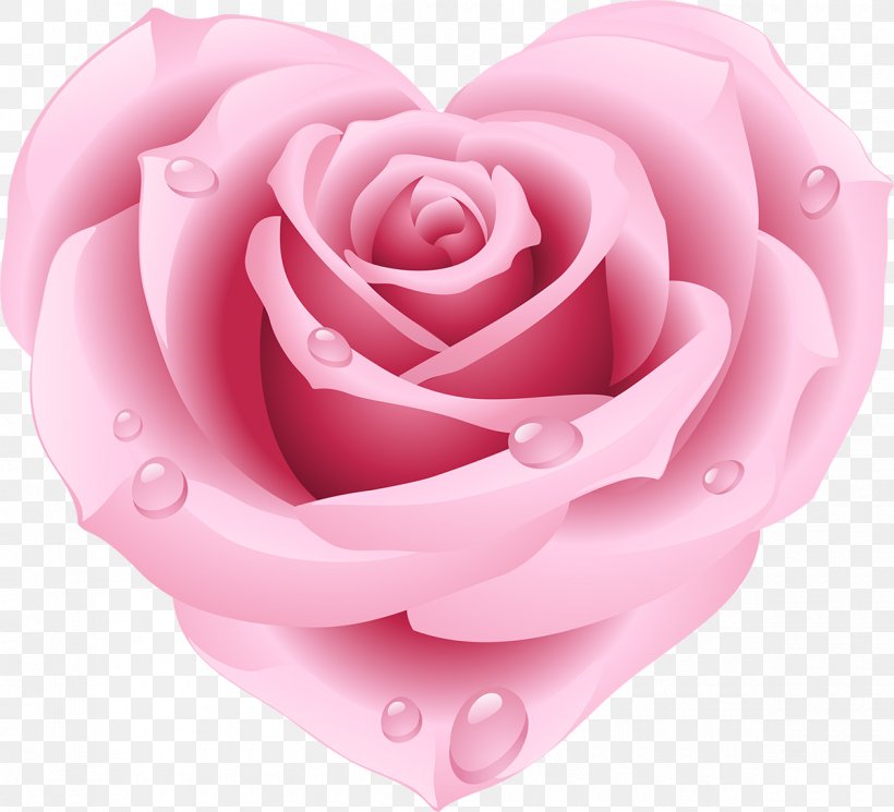 Rose Heart Pink Clip Art, PNG, 1200x1091px, Rose, Close Up, Cut Flowers, Drawing, Flower Download Free