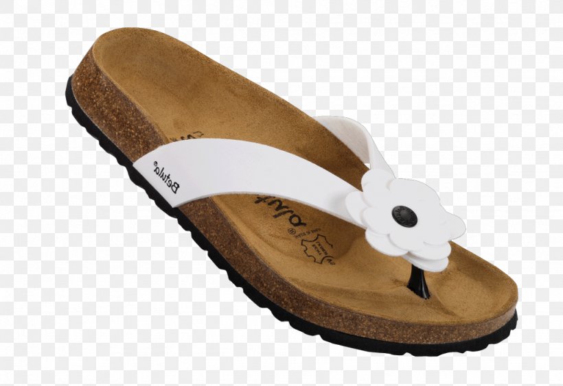 Slipper Flip-flops Slide Sandal Shoe, PNG, 1024x704px, Slipper, Beige, Flip Flops, Flipflops, Footwear Download Free