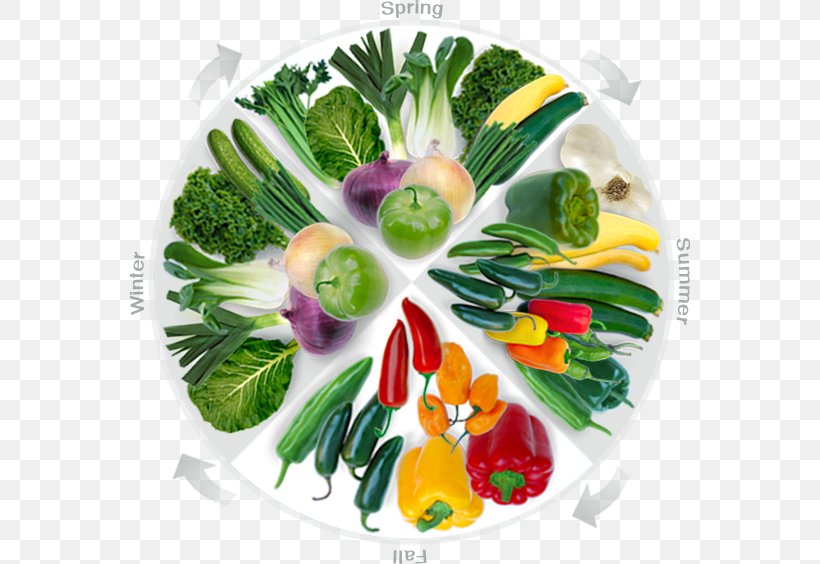 Vegetarian Cuisine Leaf Vegetable Food Garnish, PNG, 560x564px, Vegetarian Cuisine, Diet, Diet Food, Dish, Flower Download Free
