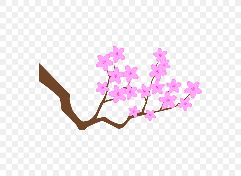 Cherry Blossom Japan Vector Graphics Image, PNG, 600x600px, Cherry Blossom, Blossom, Branch, Caricature, Cartoon Download Free