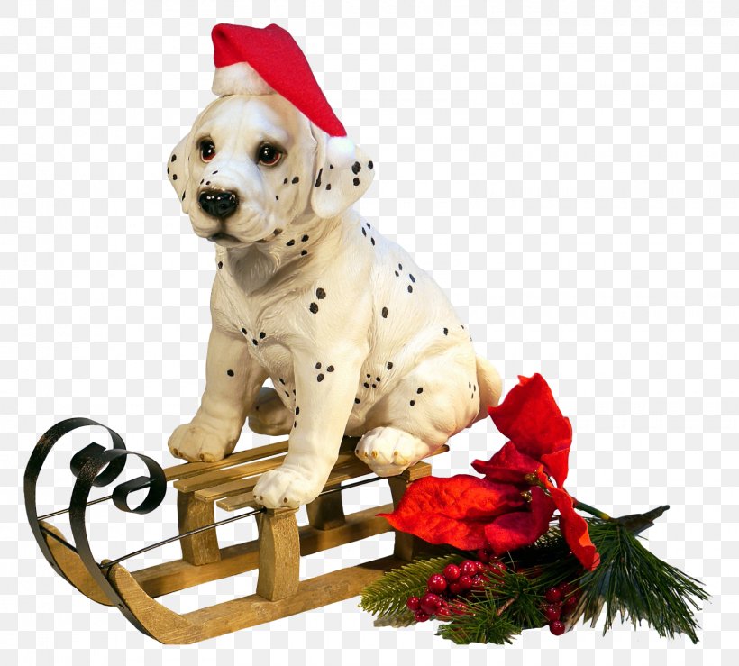 Dog New Year Christmas Clip Art, PNG, 1600x1443px, Dog, Carnivoran, Christmas, Christmas Decoration, Christmas Ornament Download Free