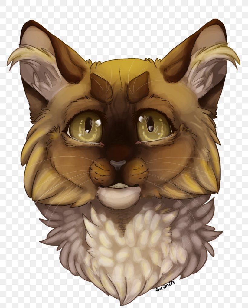 Whiskers Cat Illustration Owl Snout, PNG, 786x1017px, Whiskers, Big Cat, Big Cats, Carnivoran, Cartoon Download Free