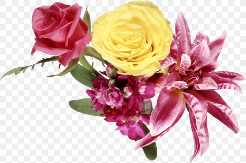 Flower Garden Roses, PNG, 4601x3060px, Flower, Beach Rose, Cut Flowers, Floral Design, Floristry Download Free