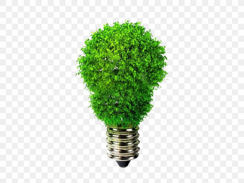 Incandescent Light Bulb Light-emitting Diode Lamp Efficient Energy Use, PNG, 1600x1200px, Light, Efficient Energy Use, Electric Light, Electricity, Energy Download Free