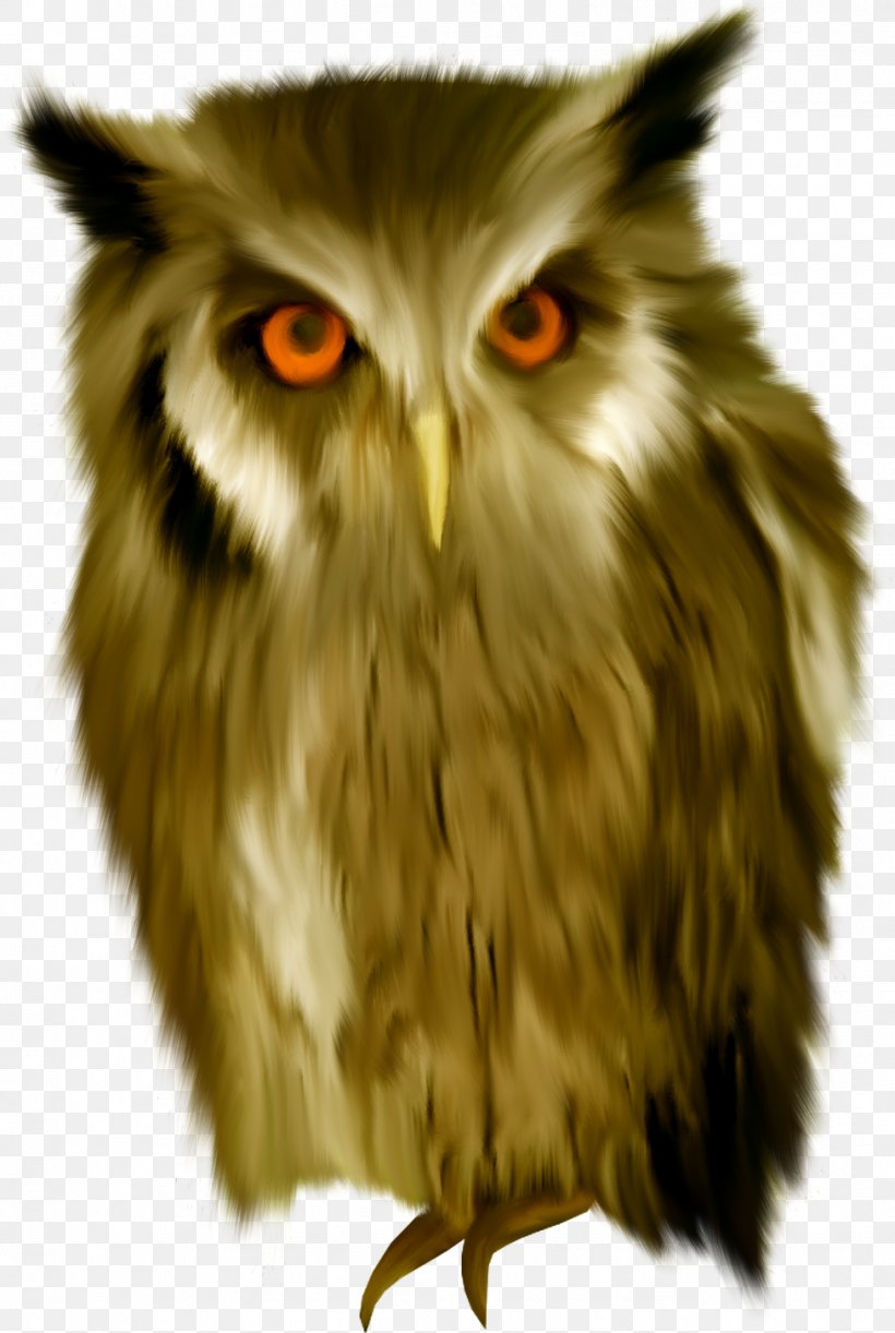 Sovunya True Owl Clip Art, PNG, 977x1456px, Owl, Animal, Beak, Bird, Bird Of Prey Download Free