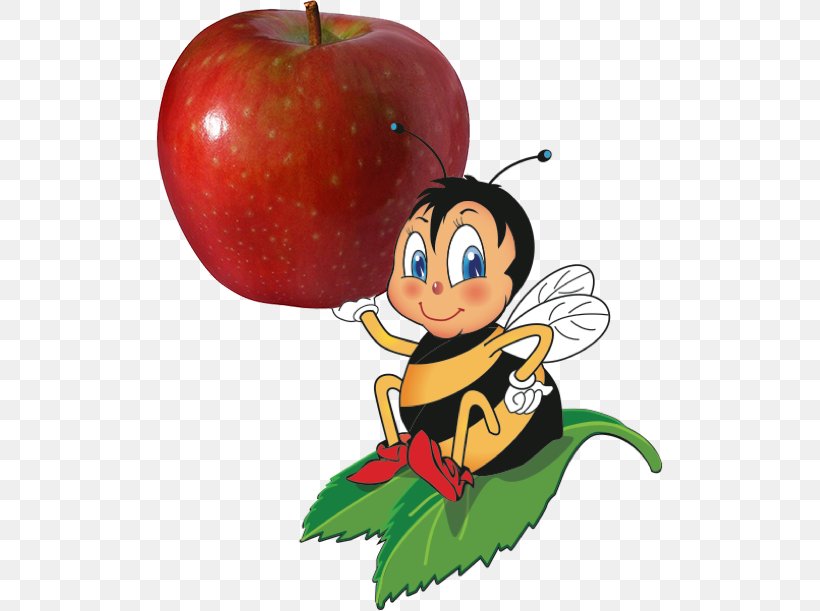 Apple SugarBee Honeycrisp Clip Art, PNG, 507x611px, Apple, Art, Bee, Cartoon, Codling Moth Download Free