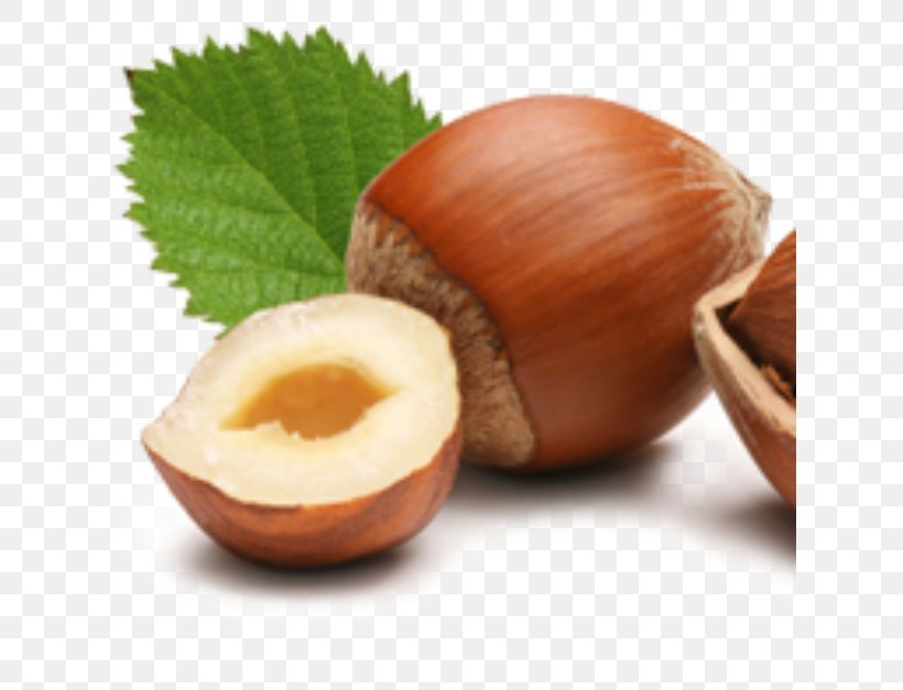 Common Hazel Hazelnut Muesli Seed, PNG, 627x627px, Common Hazel, Dried Fruit, Food, Fruit, Gelato Download Free
