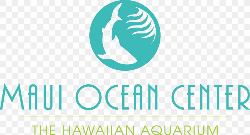 Maui Ocean Center Lahaina Shaka Vibe Bubble Tea & Treats Wailuku Hotel, PNG, 1072x582px, Lahaina, Beach, Brand, Hawaii, Hotel Download Free