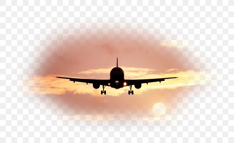 Narrow-body Aircraft Airplane Aviation Landing, PNG, 800x500px, Narrowbody Aircraft, Aerospace Engineering, Air Travel, Aircraft, Airline Download Free
