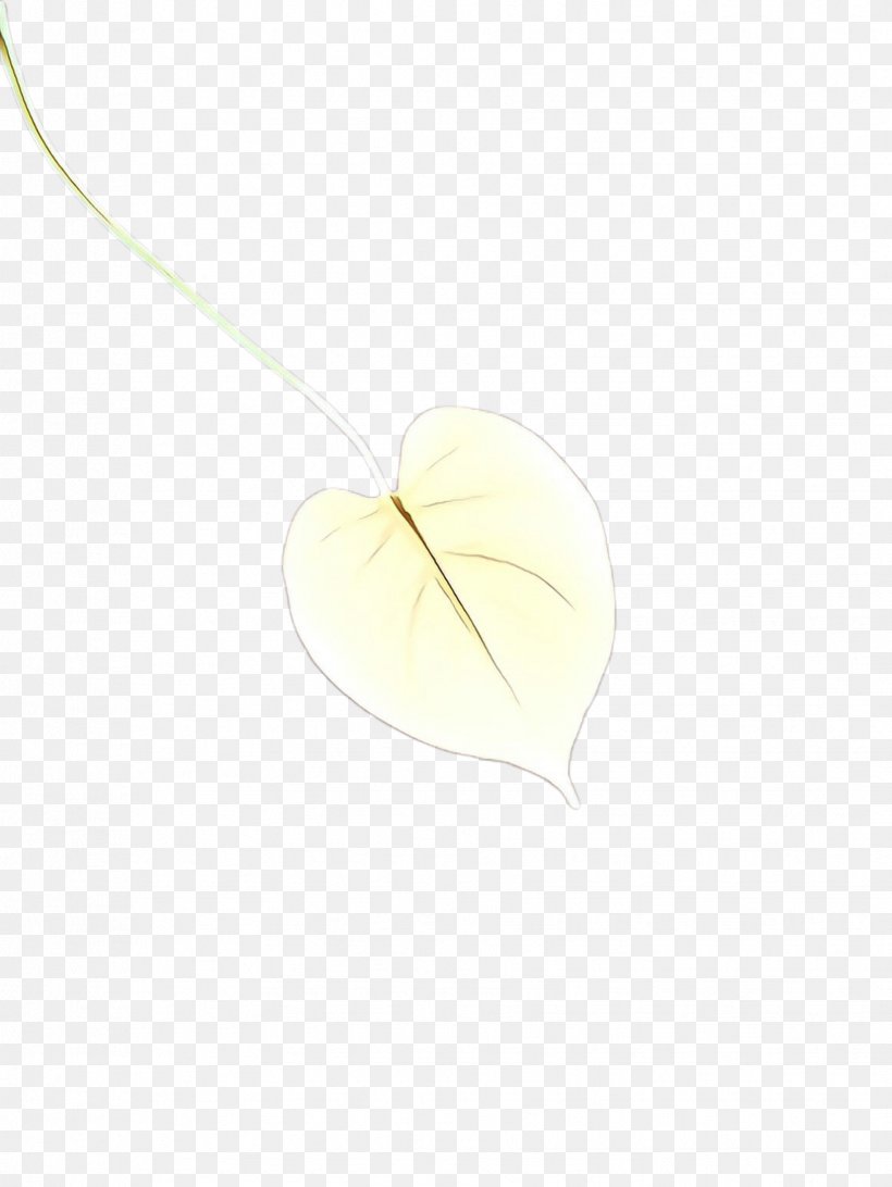 Pendant Leaf Necklace Jewellery Anthurium, PNG, 1732x2307px, Cartoon, Anthurium, Jewellery, Leaf, Locket Download Free